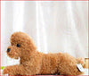 Toy - LightningStore Super Cute Adorable Brown Poodle Plush Dog Doll Stuffed Animal Toy + Toy Organizer Bag Bundle