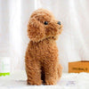 Toy - LightningStore Yellow Orange Sitting Poodle Teddy Puppy Dog Dolls Realistic Looking Stuffed Animal Plush Toys Plushie Children's Gifts Animals + Toy Organizer Bundle