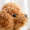 Toy - LightningStore Yellow Orange Sitting Poodle Teddy Puppy Dog Dolls Realistic Looking Stuffed Animal Plush Toys Plushie Children's Gifts Animals + Toy Organizer Bundle