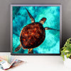 Turtle Swimming Framed Photo Poster Wall Art Decoration Decor For Bedroom Living Room