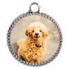 Customizable Poodle Photo Necklace - Create Your Own Personalized Necklace