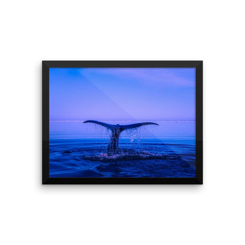 Whale Tail Framed Photo Poster Wall Art Decoration Decor For Bedroom Living Room