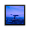 Whale Tail Framed Photo Poster Wall Art Decoration Decor For Bedroom Living Room