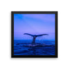 Whale Tail Framed Photo Poster Wall Art Decoration Decor For Bedroom Living Room