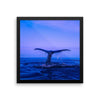 Whale Tail Framed Photo Poster Wall Art Decoration Decor For Bedroom Living Room