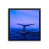 Whale Tail Framed Photo Poster Wall Art Decoration Decor For Bedroom Living Room