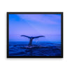 Whale Tail Framed Photo Poster Wall Art Decoration Decor For Bedroom Living Room