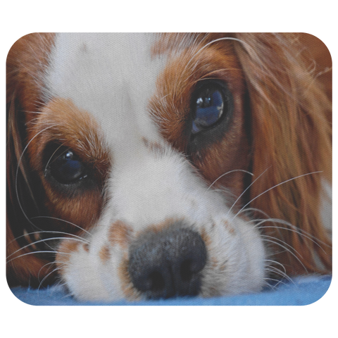 Cavalier King Charles Spaniel MousePad - Cute Sleeping Dog Eyes Mouse Mat