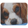 Cavalier King Charles Spaniel MousePad - Cute Sleeping Dog Eyes Mouse Mat