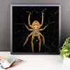 Yellow Spider Framed Photo Poster Wall Art Decoration Decor For Bedroom Living Room