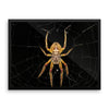 Yellow Spider Framed Photo Poster Wall Art Decoration Decor For Bedroom Living Room