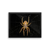 Yellow Spider Framed Photo Poster Wall Art Decoration Decor For Bedroom Living Room