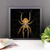 Yellow Spider Framed Photo Poster Wall Art Decoration Decor For Bedroom Living Room
