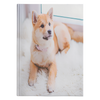 Custom Personalized Shiba Photo Journal Notebook - Turn Your Photos into a Limited Edition Stationary Diary