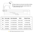 Personlig hundehalsbånd - Speciallavet hundehalsbånd med navn - Speciallavede læderhalsbånd til hunde - Monogrammeret speciallavet