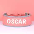 Zgardă personalizată pentru câini, zgardă din piele personalizată, zgardă gravată pentru câini, zgardă cu nume din piele, câini de talie medie și mare, etichetă ID, cadou pentru iubitorii de câini