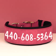 Zgardă personalizată pentru câini, zgardă din piele personalizată, zgardă gravată pentru câini, zgardă cu nume din piele, câini de talie medie și mare, etichetă ID, cadou pentru iubitorii de câini