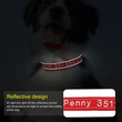Gepersonaliseerde Halsband, Aangepaste Reflecterende Hondenhalsband met Huisdier Naam Telefoonnummer, Huisdier Halsband, Gepersonaliseerde Hondenhalsband, Kleine Middelgrote Grote Honden