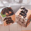 Custom Photo Cube - Personalized Puzzle Cube - 3X3 - Design Your Own Custom Puzzle Gift - Made to Order