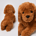 LightningStore 超可愛棕色貴賓犬絨毛狗娃娃絨毛玩具