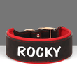 Zgardă personalizată pentru câini, zgardă din piele personalizată, zgardă gravată pentru câini, zgardă cu nume din piele, câini de talie medie și mare, etichetă ID, cadou pentru iubitorii de câini