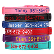 Gepersonaliseerde Halsband, Aangepaste Reflecterende Hondenhalsband met Huisdier Naam Telefoonnummer, Huisdier Halsband, Gepersonaliseerde Hondenhalsband, Kleine Middelgrote Grote Honden