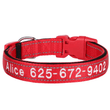 Gepersonaliseerde Halsband, Aangepaste Reflecterende Hondenhalsband met Huisdier Naam Telefoonnummer, Huisdier Halsband, Gepersonaliseerde Hondenhalsband, Kleine Middelgrote Grote Honden