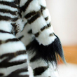 Nouvelle sortie !! Poupée de zèbre africain noir et blanc rayé mignonne et adorable LightningStore, réaliste, jouets en peluche, cadeaux pour enfants, animaux