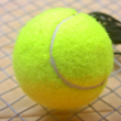 Tennis Ball + Rope