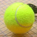 Tennis Ball + Rope