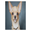 Custom Personalized Chihuahua Photo Journal Notebook - Turn Your Photos into a Limited Edition Stationary Diary