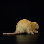 LightningStore Beaver Dolls Realistic Looking Stuffed Animal Plush Toys Plushie Children's Gifts Animals