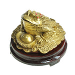 Feng Shui Toad  Lucky Fortune Wealth Chinese Golden Frog Toad Coin Home Office Decoration Ornaments Decorative Antiques