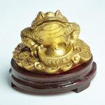 Feng Shui Toad  Lucky Fortune Wealth Chinese Golden Frog Toad Coin Home Office Decoration Ornaments Decorative Antiques