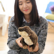 LightningStore Adorable Cute Beaver Otter Meerkat Doll Realistic Looking Stuffed Animal Plush Toys Plushie Children's Gifts Animals