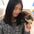 LightningStore Adorable Cute Beaver Otter Meerkat Doll Realistic Looking Stuffed Animal Plush Toys Plushie Children's Gifts Animals