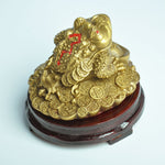 Feng Shui Toad  Lucky Fortune Wealth Chinese Golden Frog Toad Coin Home Office Decoration Ornaments Decorative Antiques