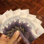 Customizable Card Sleeves For Digimon Cards - On Sale Now!