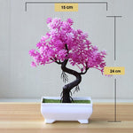 Artificial Bonsai Tree - Limited Edition Fake Bonsai Tree