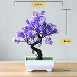 Artificial Bonsai Tree - Limited Edition Fake Bonsai Tree