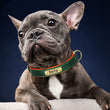 Personlig hundehalsbånd - Speciallavet hundehalsbånd med navn - Speciallavede læderhalsbånd til hunde - Monogrammeret speciallavet