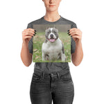 American Bully Poster