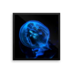 Blue Black JellyFish Framed Photo Poster Wall Art Decoration Decor For Bedroom Living Room