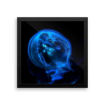 Blue Black JellyFish Framed Photo Poster Wall Art Decoration Decor For Bedroom Living Room