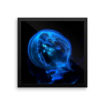 Blue Black JellyFish Framed Photo Poster Wall Art Decoration Decor For Bedroom Living Room