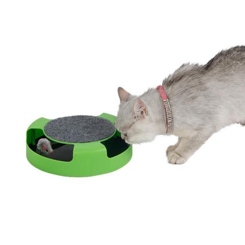 Cat Toy Mouse In Circle Loop