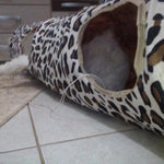 Cat Tunnel Leopard Print With Walking Sound