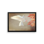 Dove Framed Photo Poster Wall Art Decoration Decor For Bedroom Living Room