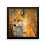 Fox Framed Photo Poster Wall Art Decoration Decor For Bedroom Living Room