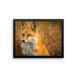 Fox Framed Photo Poster Wall Art Decoration Decor For Bedroom Living Room